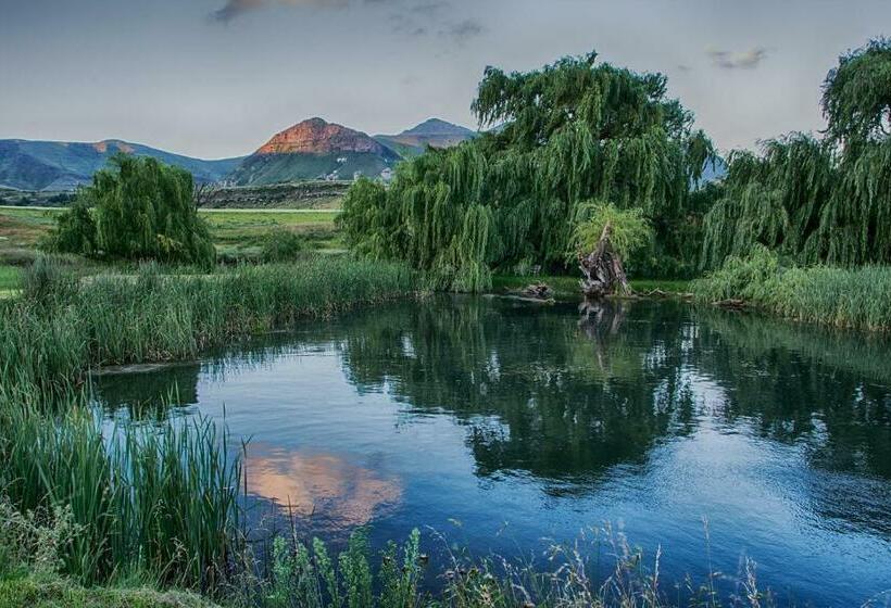 בית מלון כפרי De Molen Farm