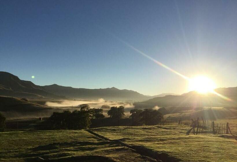 בית מלון כפרי De Molen Farm