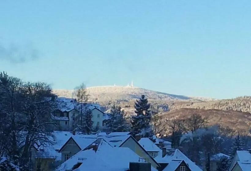 Pension Schweizer Hof