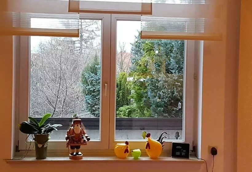 Pension Schweizer Hof