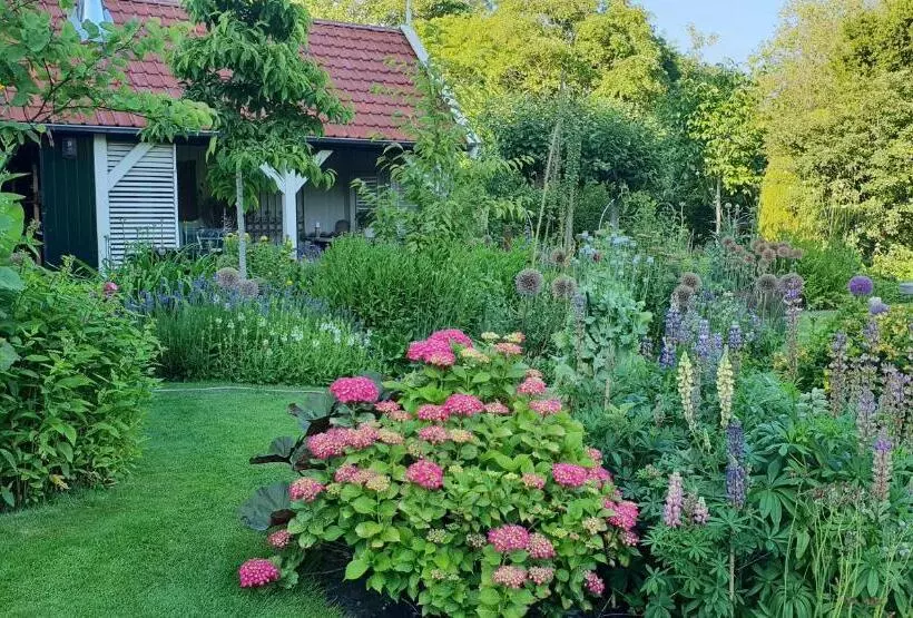 B&b Slapen Bij De Burgemeester