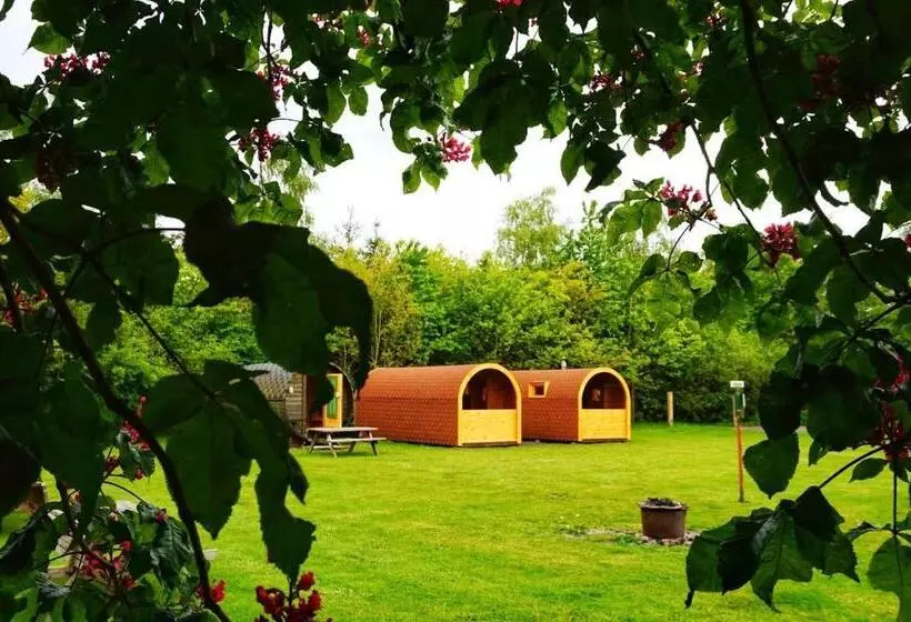 Bed and Breakfast De Kapschuur