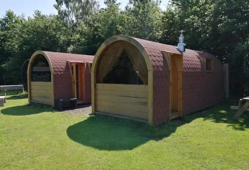 Bed and Breakfast De Kapschuur