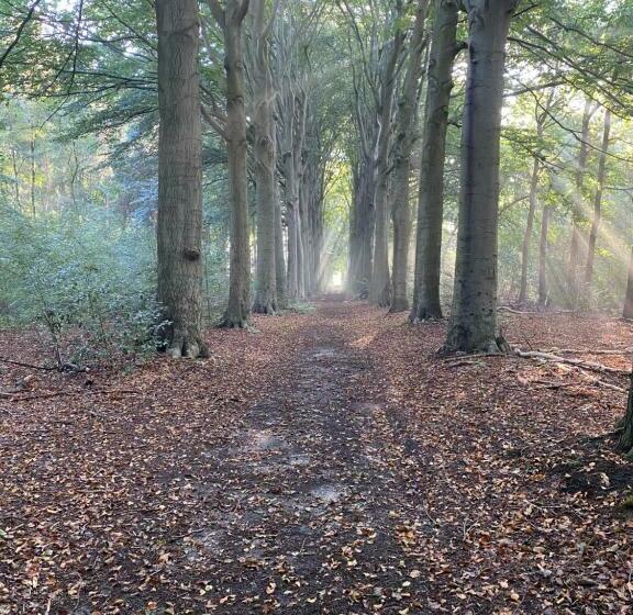 Bed and Breakfast La Grange 28