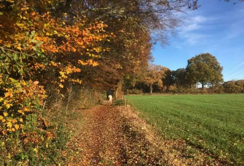 تختخواب و صبحانه La Grange 28