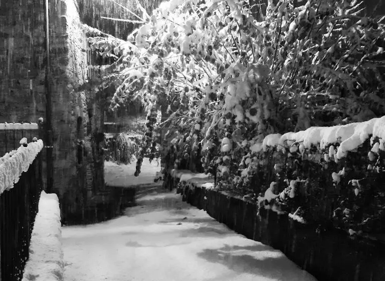 Aamiaismajoitus (B&B) Le Mie Radici