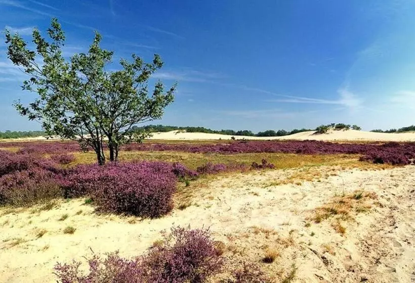 Bed And Breakfast Rammesdoenk