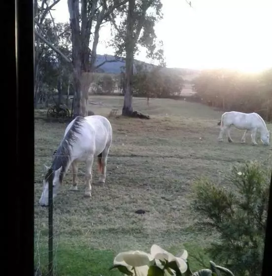 Majatalo Woodenbong Bed And Breakfast