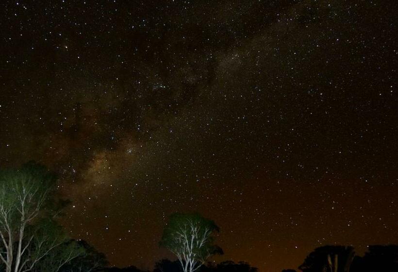 פנסיון Woodenbong Bed And Breakfast