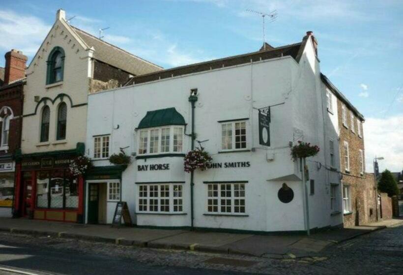 هاستل Bay Horse