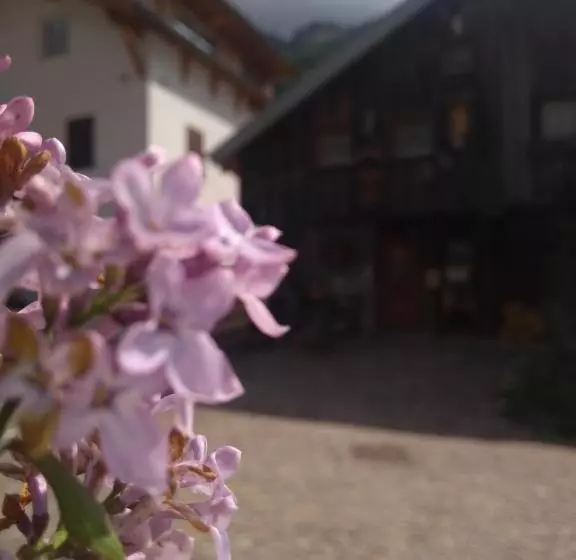 Aamiaismajoitus (B&B) Cianbolpin Guesthouse