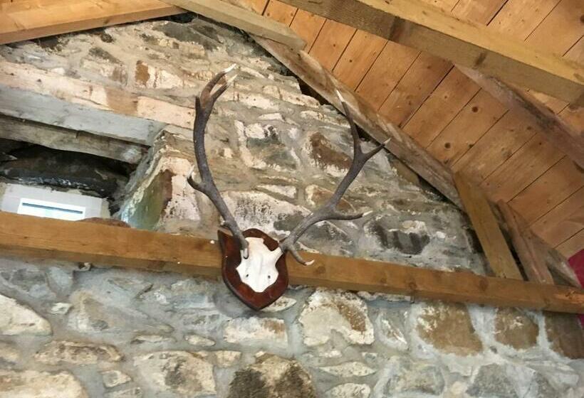 Пансион Glamping Bothie