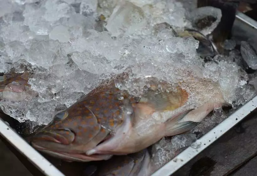 Majatalo Mr. Chuoi Bar And Hut