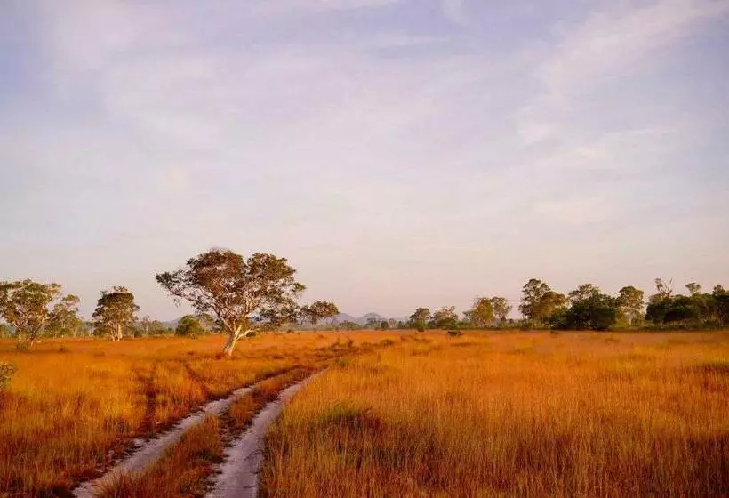 Majatalo Mr. Chuoi Bar And Hut