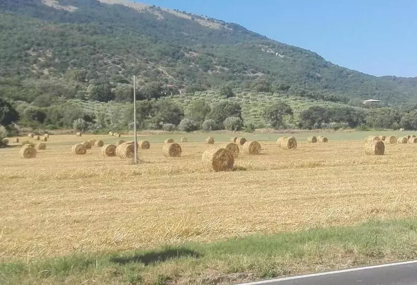 B&b Villa Di Bartolomeo