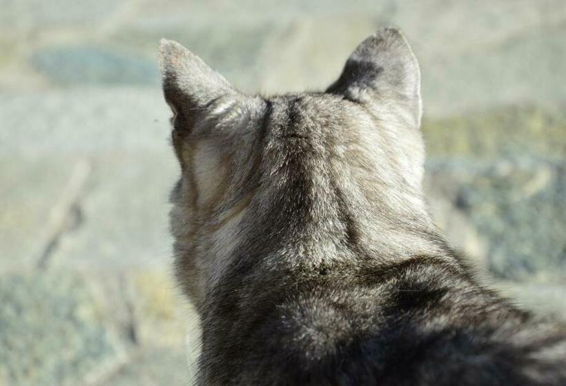 ベッドアンドブレックファースト Chambres Et Table D Hôtes Du Péré