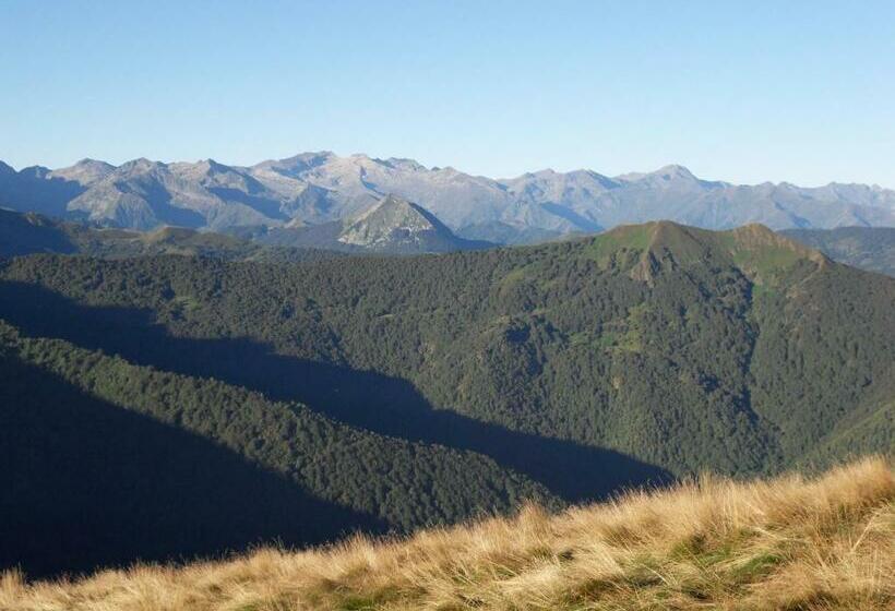 ベッドアンドブレックファースト Chambres Et Table D Hôtes Du Péré