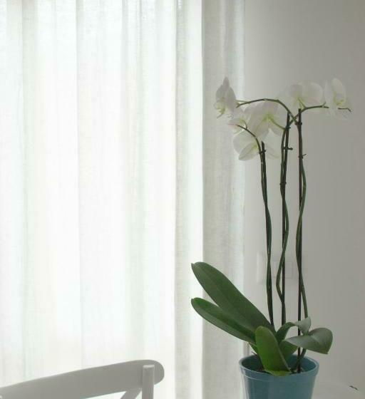 Bed and Breakfast Il Gelsomino