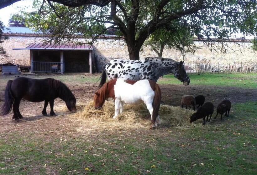 민박 Le Clos Des Cordeliers