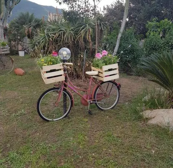 Aamiaismajoitus (B&B) Su Cunventu