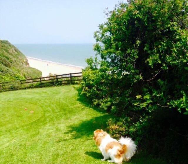 Bed and Breakfast Woodleigh Lodge