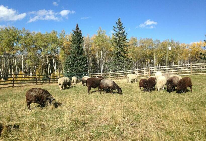 בית מלון כפרי Heart West Haven