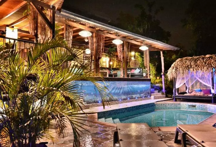 Pension Racoon Lodge