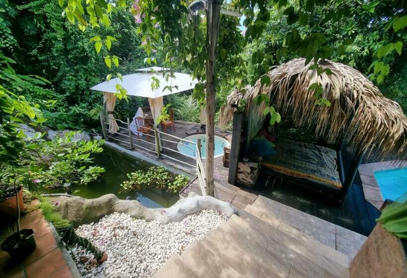 Pension Racoon Lodge