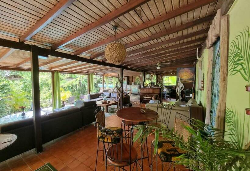 Pension Racoon Lodge