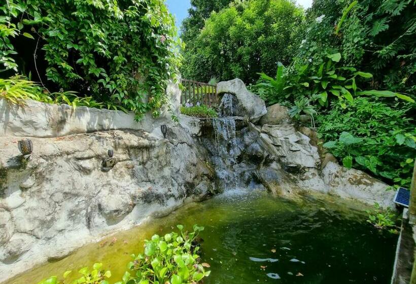 Pension Racoon Lodge