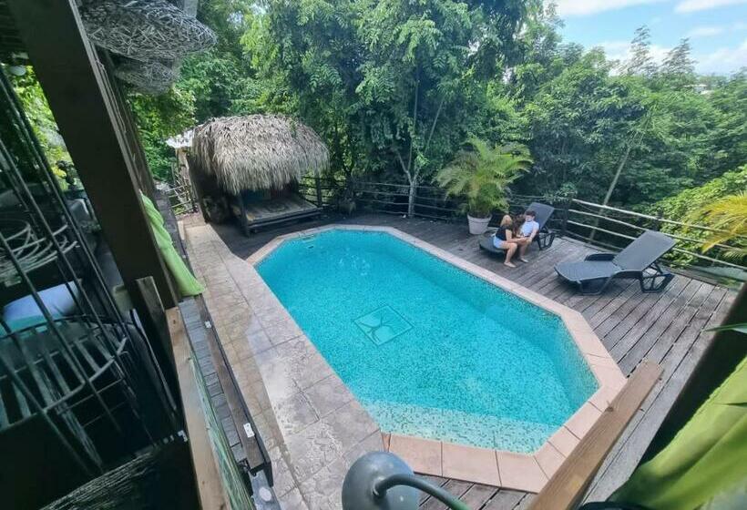 Pension Racoon Lodge