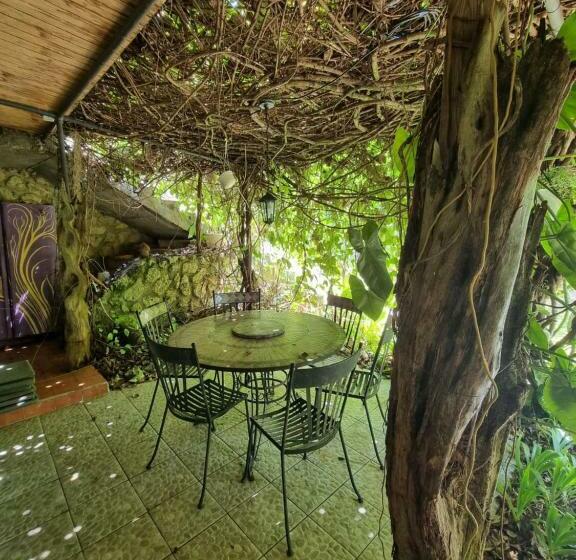 Pension Racoon Lodge