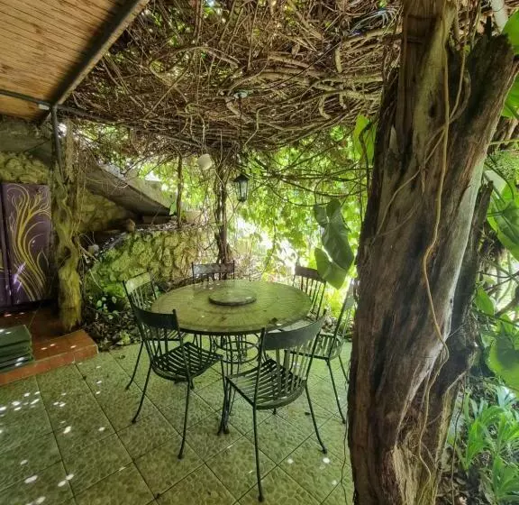 Pension Racoon Lodge