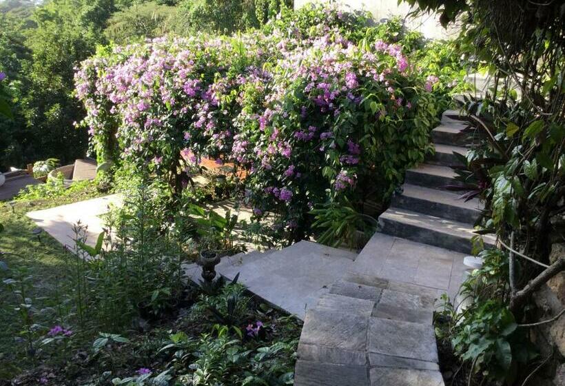 Pension Racoon Lodge