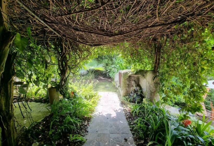 Pension Racoon Lodge