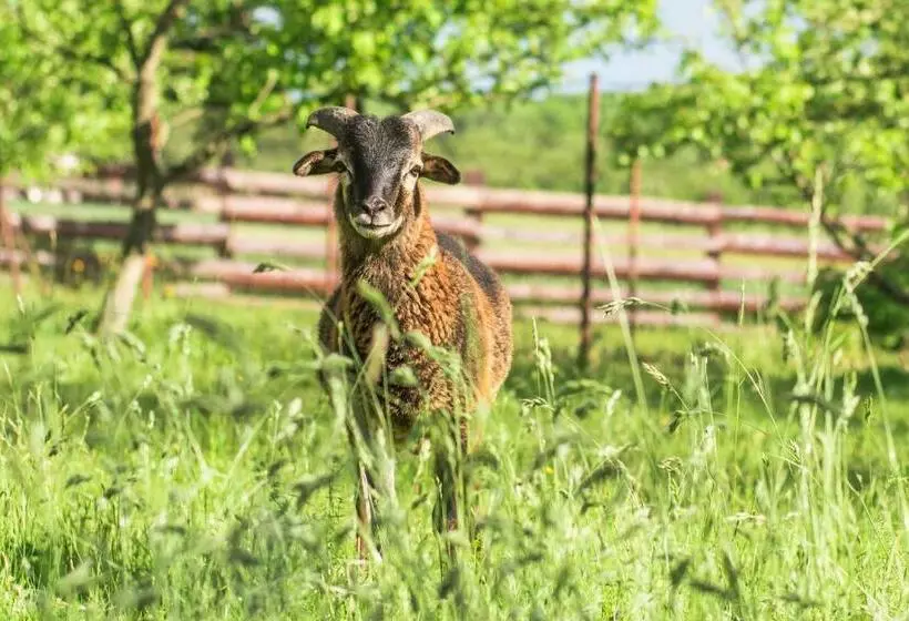 Pension Ubytovanie V Súkromí Samuel