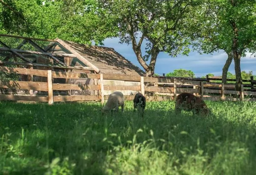 Pension Ubytovanie V Súkromí Samuel