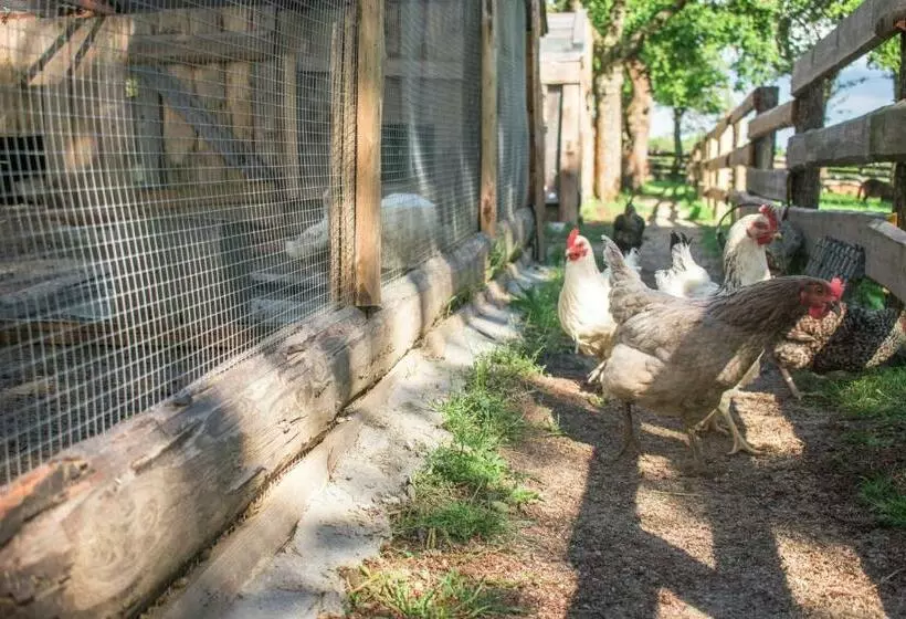 Pension Ubytovanie V Súkromí Samuel