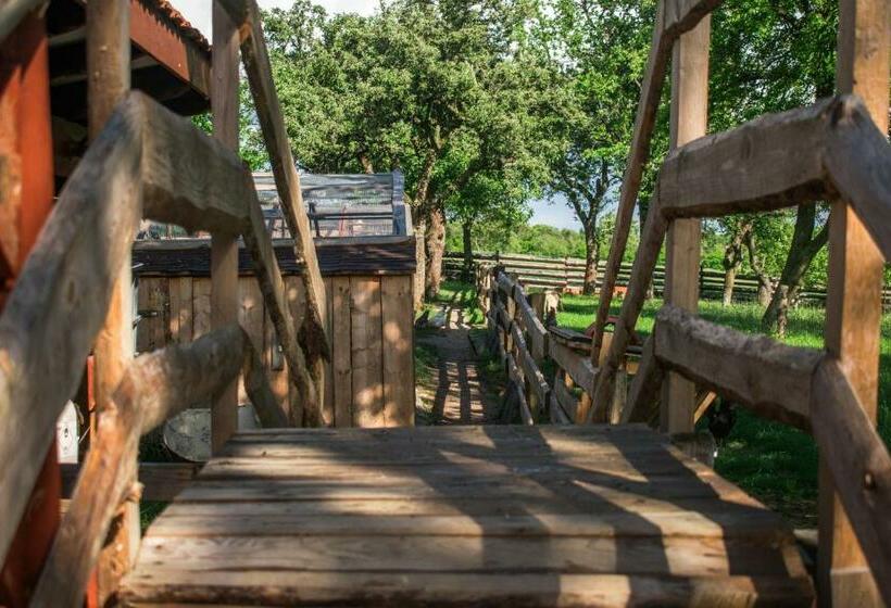 Pensjonat Ubytovanie V Súkromí Samuel