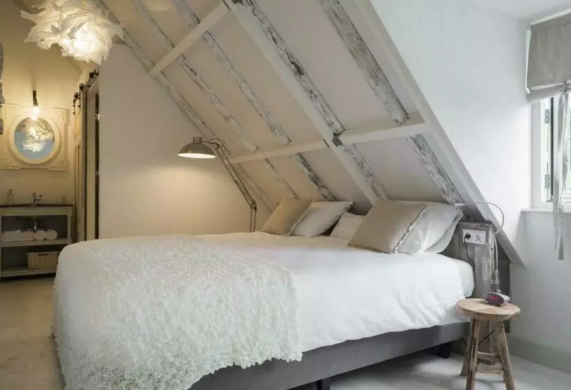 B&b Spoelhof