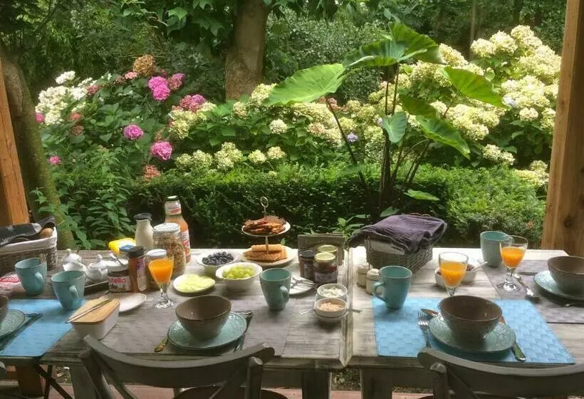 B&b Spoelhof