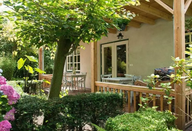 B&b Spoelhof