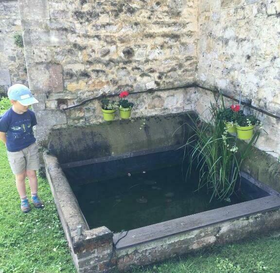 Bed & Breakfast La Pomme De Nuit