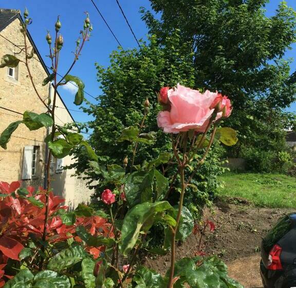 Bed & Breakfast La Pomme De Nuit