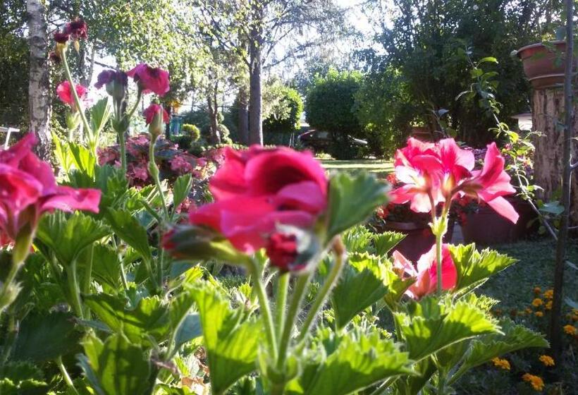 Bed and Breakfast Villa Tacco