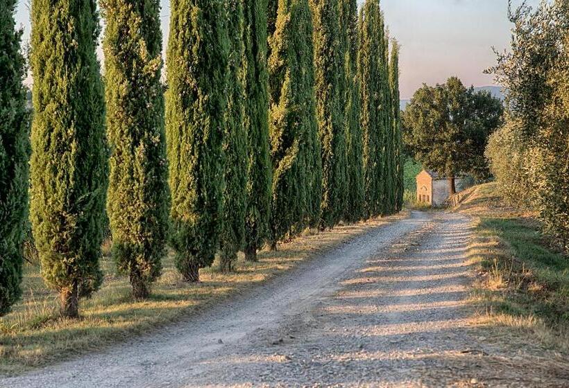 Chianti B&b Design Infinity Pool Shared