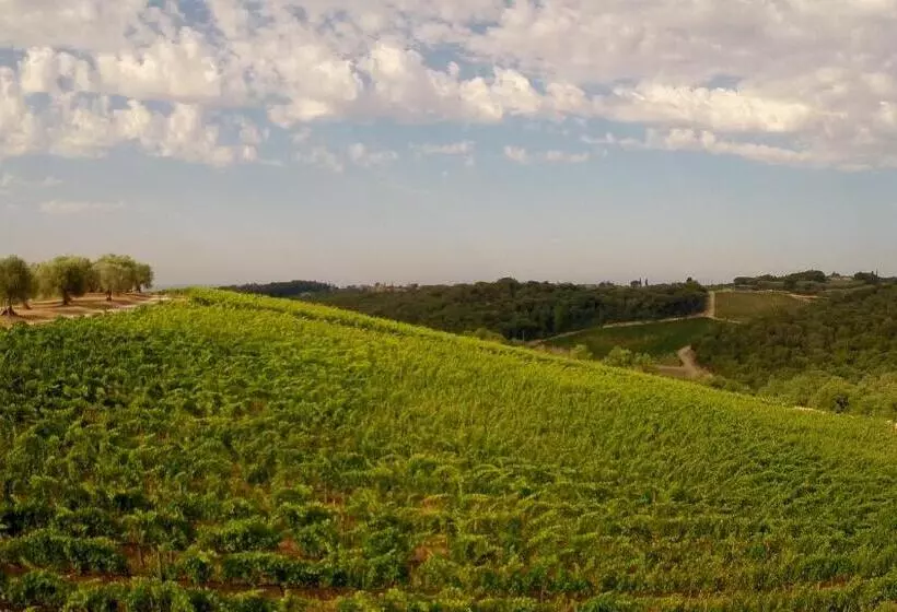Chianti B&b Design Infinity Pool Shared