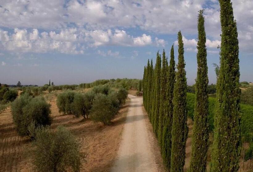 Chianti B&b Design Infinity Pool Shared
