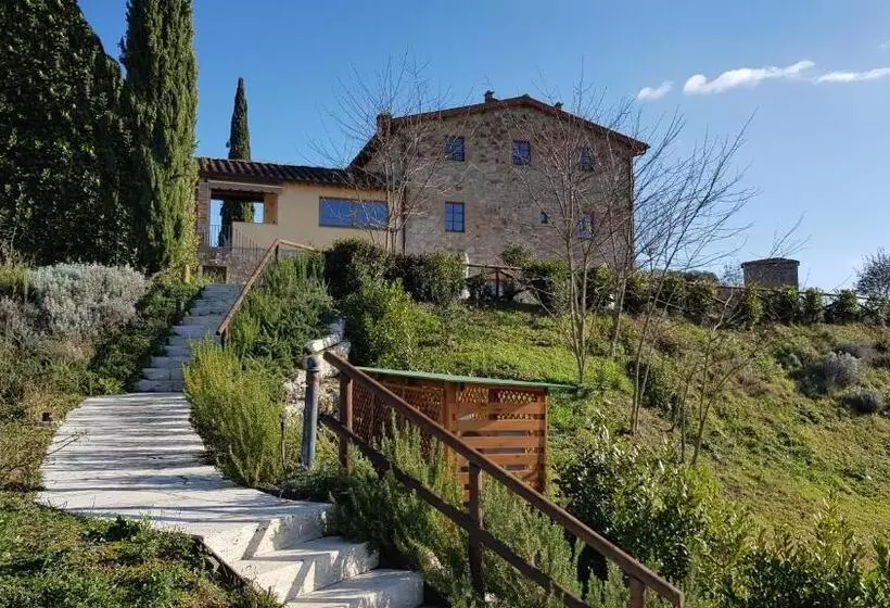 Chianti B&b Design Infinity Pool Shared