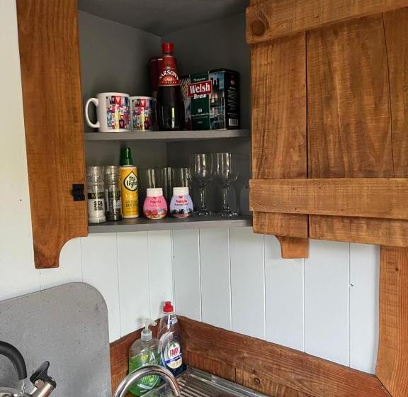 Hotel Berwyn Shepherds Hut